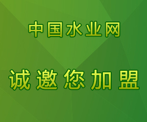 新聞頁(yè)面廣告 300x250